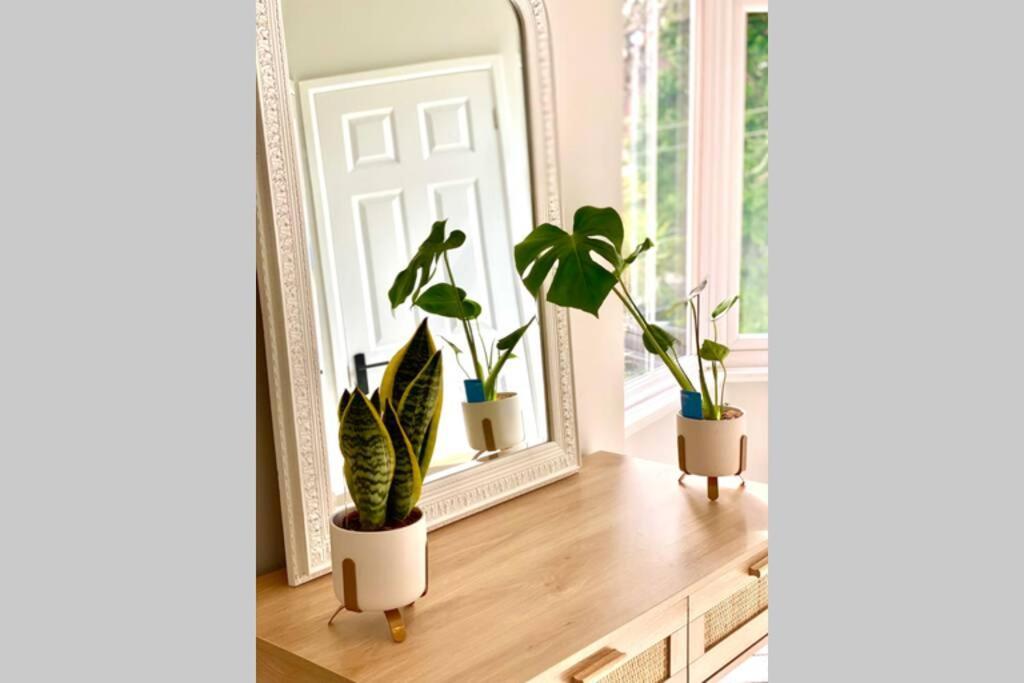 Cleveland House - Perfect For Beaches And Town. 伯恩茅斯 外观 照片